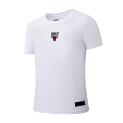 NBA Polera Hombre Chicago Bulls Ballin