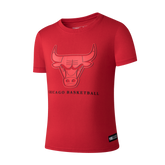 NBA Conjunto Niño Chicago Bulls Ballin (Jersey & Short)