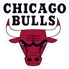 Wincraft Magneto Chicago Bulls