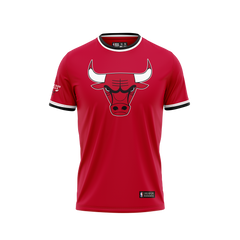 NBA Jersey Niño Chicago Bulls