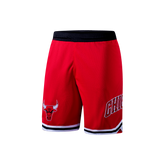 NBA Shorts Hombre Chicago Bulls