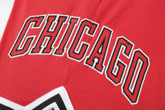 NBA Shorts Hombre Chicago Bulls