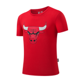 NBA Polera Hombre Chicago Bulls