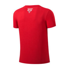 NBA Polera Hombre Chicago Bulls