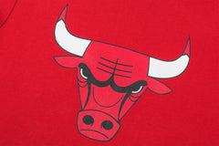 NBA Polera Hombre Chicago Bulls