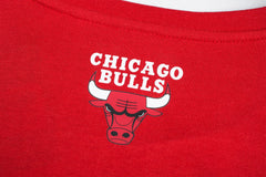 NBA Polera Hombre Chicago Bulls