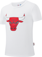 NBA Polera Hombre Chicago Bulls