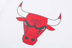 NBA Polera Hombre Chicago Bulls