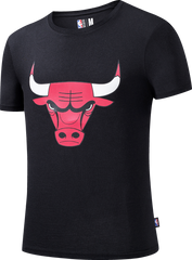 NBA Polera Hombre Chicago Bulls Zach Lavine