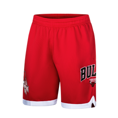 NBA Short Hombre Chicago Bulls Logo
