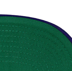 Mitchell and Ness Gorra Legendary Away Pro Snapback Hwc Hombre Charlotte Hornets - NBA Store Chile