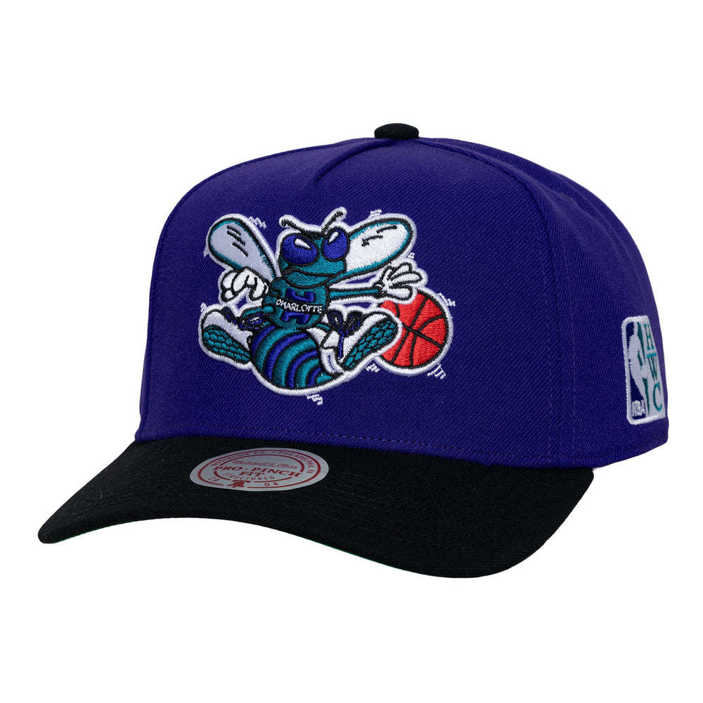 Mitchell and Ness Gorra Legendary Home Pro Snapback Hwc Hombre Charlotte Hornets - NBA Store Chile