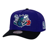 Mitchell and Ness Gorra Legendary Home Pro Snapback Hwc Hombre Charlotte Hornets - NBA Store Chile