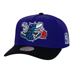 Mitchell and Ness Gorra Legendary Home Pro Snapback Hwc Hombre Charlotte Hornets - NBA Store Chile