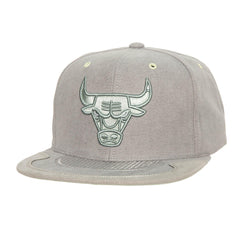 NBA Gorra Day 4 Snapback Hombre Chicago Bulls Gris - NBA Store Chile