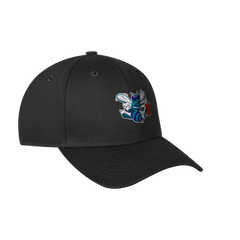 NBA Gorra Hombre Charlotte Hornets Negro - NBA Store Chile