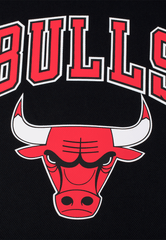 NBA Jersey Hombre Chicago Bulls Zach LaVine CORE - NBA Store Chile