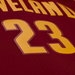 NBA Jersey Hombre Cleveland Cavaliers Lebron James Burdeo - NBA Store Chile