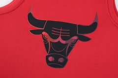 NBA Jersey Niño Chicago Bulls Cromatics - NBA Store Chile