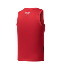 NBA Jersey Niño Chicago Bulls Cromatics - NBA Store Chile