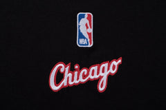 NBA Polera Niño Chicago Bulls PREMIER - NBA Store Chile