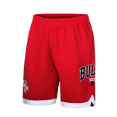 NBA Short Hombre Chicago Bulls Logo - NBA Store Chile