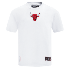 Pro Standard Polera Hombre Chicago Bulls Wingspan - NBA Store Chile