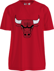 NBA Polera Hombre Chicago Bulls Zach LaVine