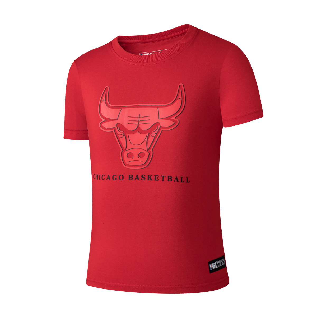 NBA Conjunto Niño Chicago Bulls Ballin (Jersey & Short)