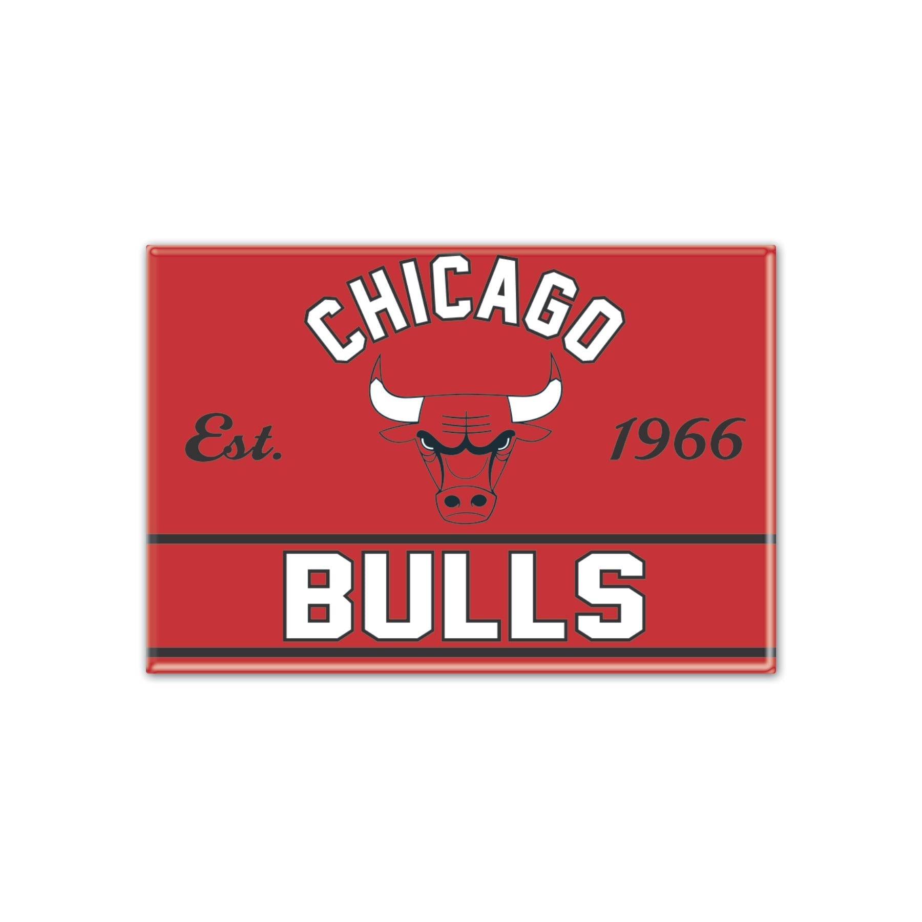 Wincraft Magneto Chicago Bulls