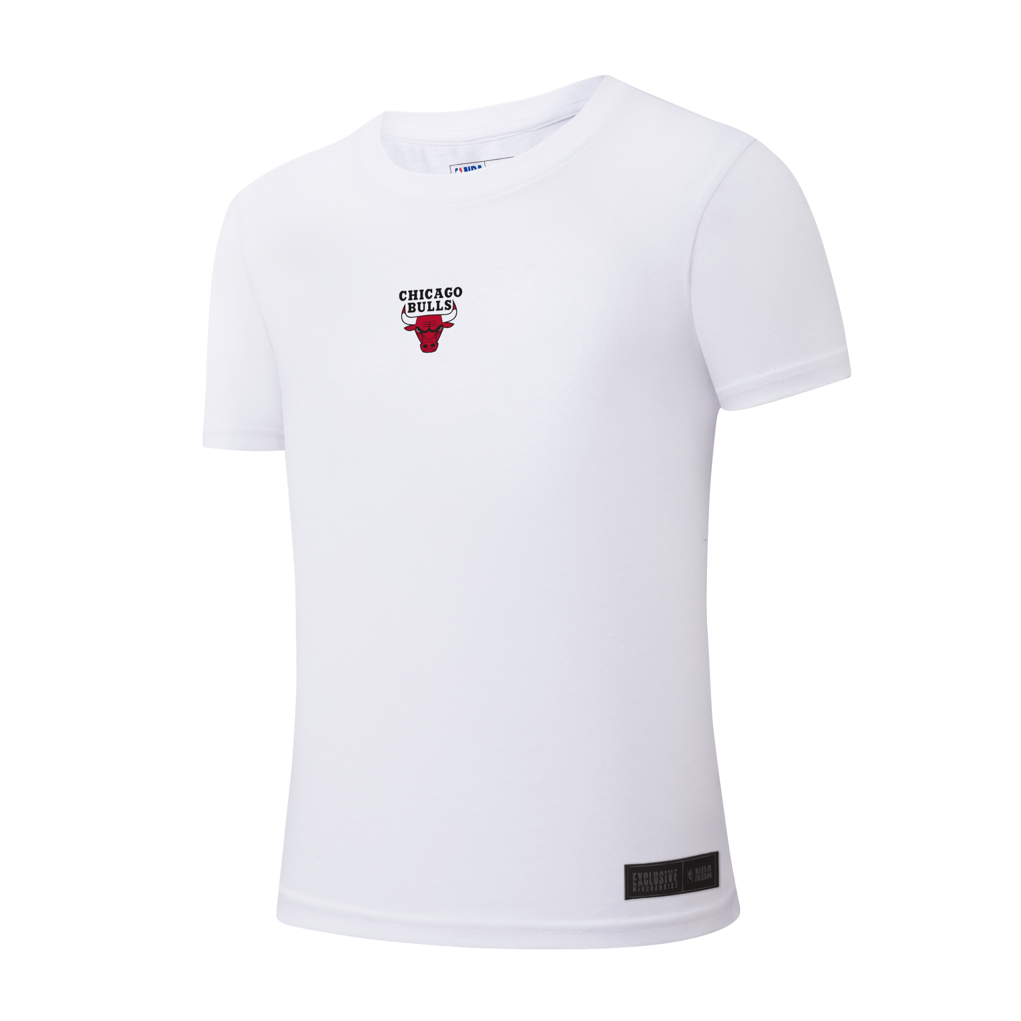 NBA Polera Hombre Chicago Bulls
