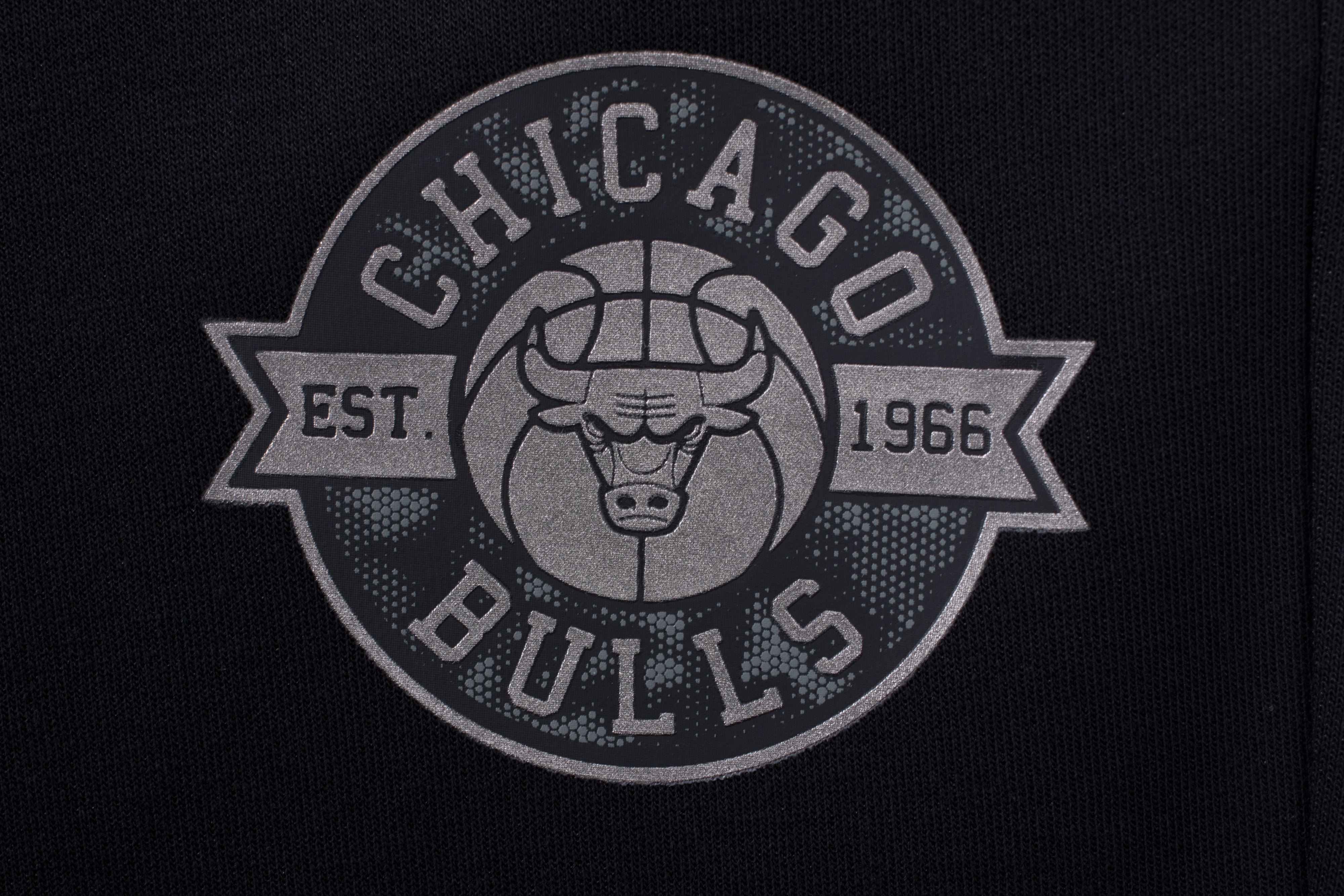 NBA Pantalón Hombre Chicago Bulls Blank