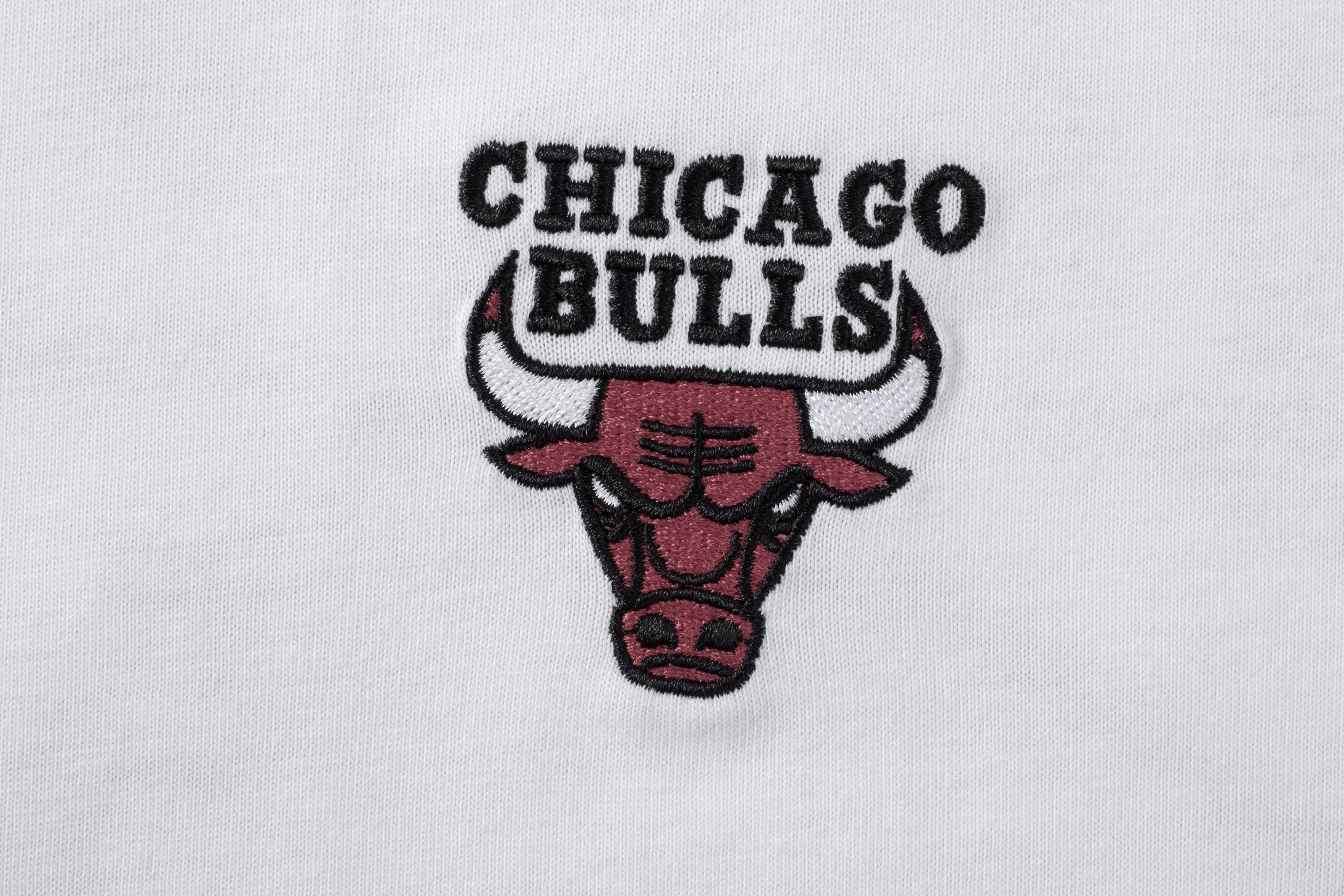 NBA Polera Hombre Chicago Bulls Ballin