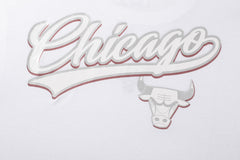 NBA Polera Hombre Chicago Bulls Ballin
