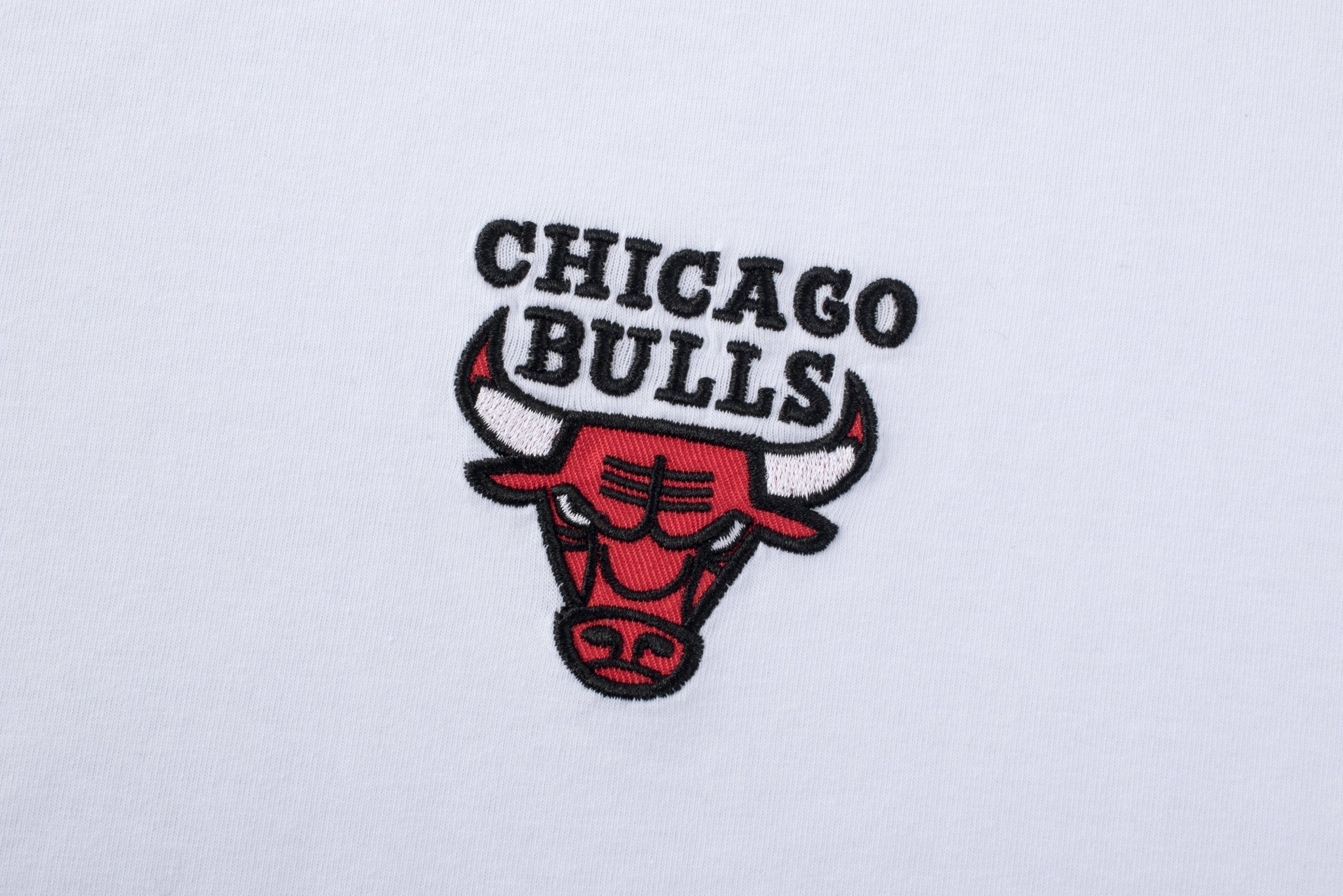 NBA Polera Hombre Chicago Bulls