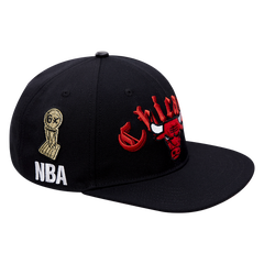 Pro Standard Gorra Hombre Chicago Bulls