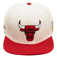 Pro Standard Gorra Hombre Chicago Bulls