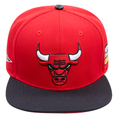 Pro Standard Gorra Hombre Chicago Bulls