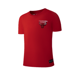 NBA Polera Niño Sprayer Chicago Bulls