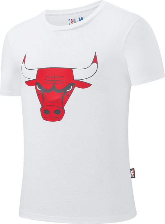 NBA Polera Hombre Chicago Bulls