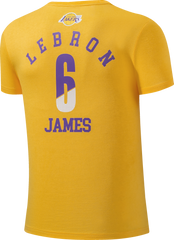 NBA Polera Hombre Los Angeles Lakers Lebron James