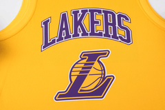 NBA Jersey Niño  Los Angeles Lakers Lebron James