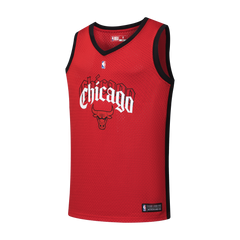 NBA Jersey Hombre Chicago Bulls  Hood