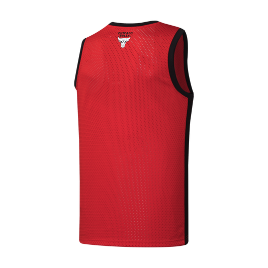 NBA Jersey Hombre Chicago Bulls  Hood