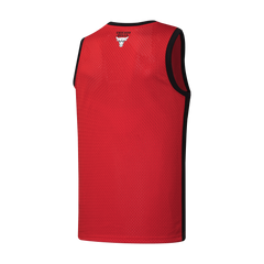 NBA Jersey Hombre Chicago Bulls  Hood