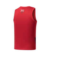 NBA Jersey Niño Chicago Bulls Cromatics