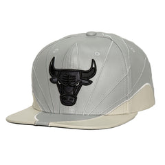 Mitchell And Ness Gorra Hombre Chicago Bulls - NBA Store Chile