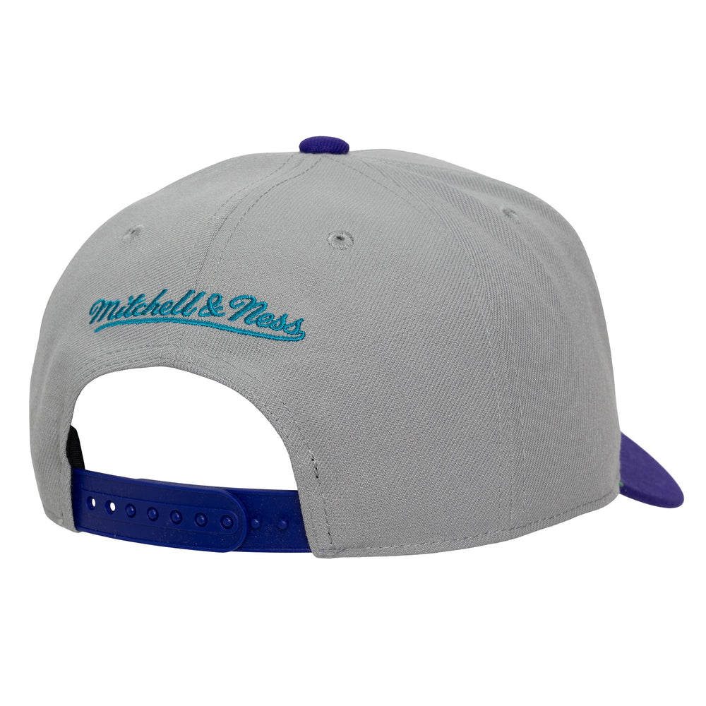 Mitchell and Ness Gorra Legendary Away Pro Snapback Hwc Hombre Charlotte Hornets - NBA Store Chile