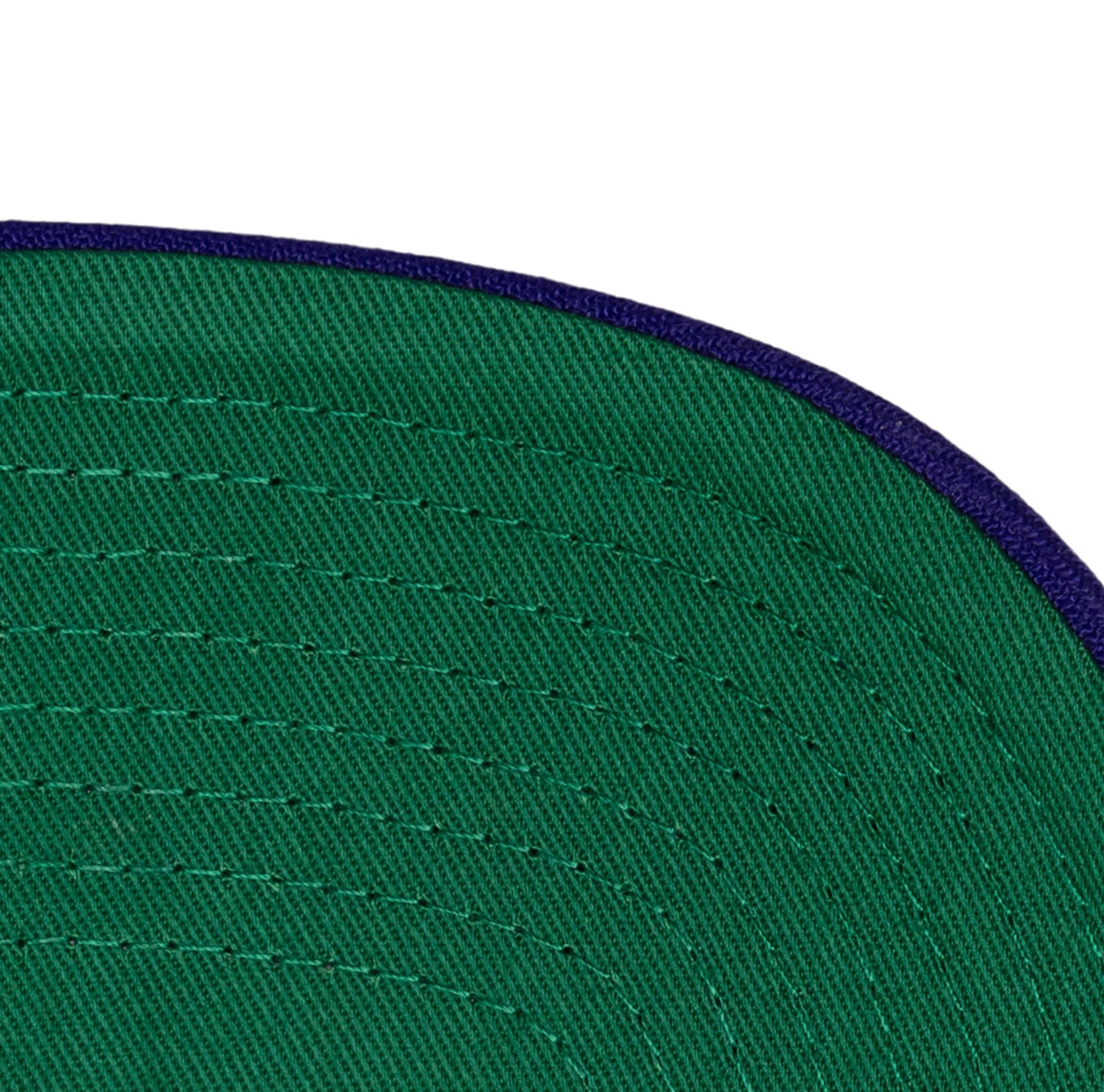 Mitchell and Ness Gorra Legendary Away Pro Snapback Hwc Hombre Charlotte Hornets - NBA Store Chile