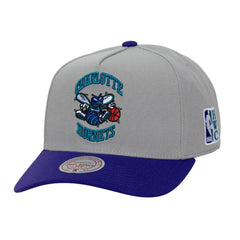 Mitchell and Ness Gorra Legendary Away Pro Snapback Hwc Hombre Charlotte Hornets - NBA Store Chile